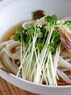 さっぱりなんでものっけうどん-レシピのメイン写真