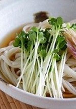 さっぱりなんでものっけうどん-レシピのメイン写真