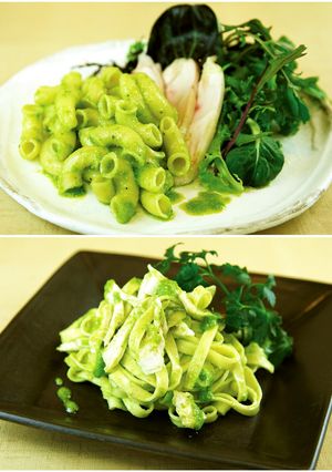 土佐はちきん地鶏と葉にんにくソースパスタ-レシピのメイン写真