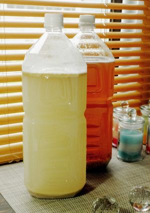 米ぬかから作る植物性乳酸菌液-レシピのメイン写真