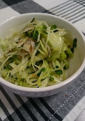 かいわれ大根とレタスのさっぱり和サラダ-レシピのメイン写真