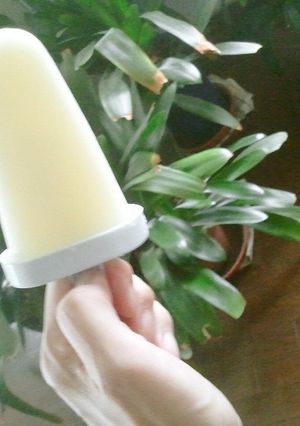 ソルティライチヨーグルトアイスバー-レシピのメイン写真