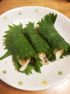 ハマる美味しさ〜☆シソとキムチの焼き餃子-レシピのメイン写真