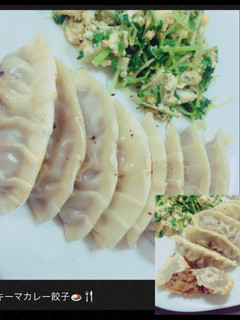 簡単☆キーマカレー餃子-レシピのメイン写真