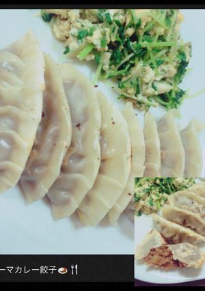 簡単☆キーマカレー餃子-レシピのメイン写真