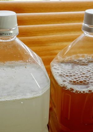 植物性乳酸菌液をふやすための栄養液-レシピのメイン写真