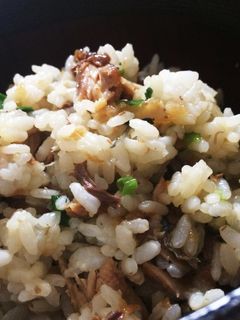 蒲焼の混ぜご飯-レシピのメイン写真