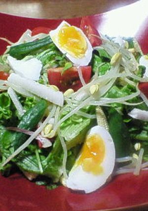 夏の爽快サラダ-レシピのメイン写真