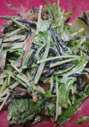 【社長のレシピ】不思議☆水菜サラダ-レシピのメイン写真