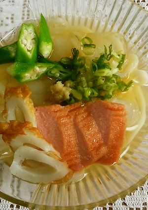 夏限定❗冷凍うどんで讃岐冷やしかけうどん-レシピのメイン写真
