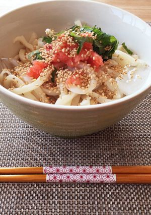 暑い日に簡単ランチ☆明太しそうどん-レシピのメイン写真
