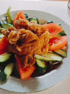 栄養満点!豚肉サラダ丼-レシピのメイン写真