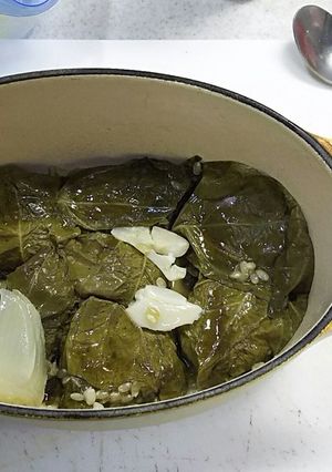ドルマ ギリシャ料理-レシピのメイン写真