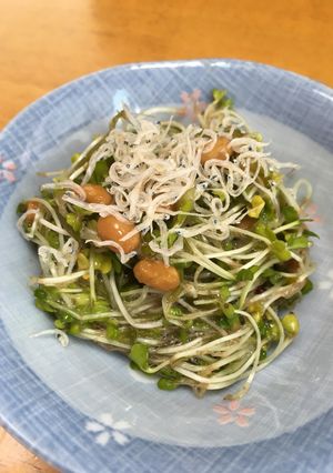 納豆とめかぶのネバネバスプラウトサラダ♡-レシピのメイン写真