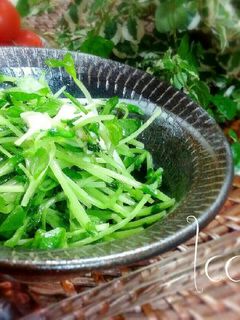 安価でスピーディ◎豆苗のにんにく炒め-レシピのメイン写真