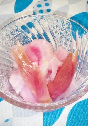 おつまみに☆紫玉ねぎとみょうがのマリネ-レシピのメイン写真