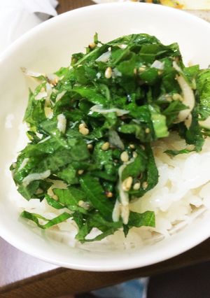 大葉としらすのご飯のおとも-レシピのメイン写真