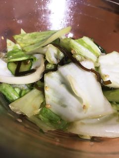 キャベツときゅうりの塩昆布和え-レシピのメイン写真