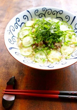味噌玉の簡単冷や汁-レシピのメイン写真