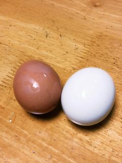 ゆで卵・半熟卵・味付卵(水・湯対応)-レシピのメイン写真