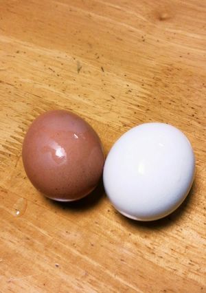ゆで卵・半熟卵・味付卵（水・湯対応）-レシピのメイン写真
