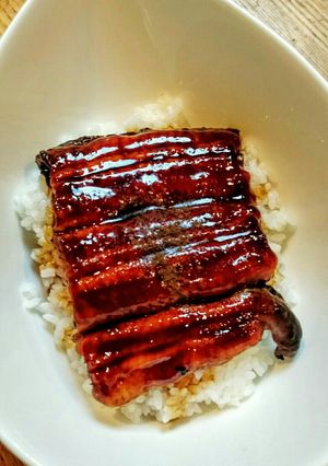市販の鰻でふっくら美味しいうな丼-レシピのメイン写真