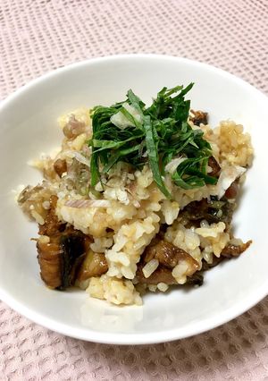 夏にぴったり♡うなぎと梅のさっぱりご飯！-レシピのメイン写真