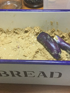 生麹で☆ぬか床がどんどん美味しくなる-レシピのメイン写真