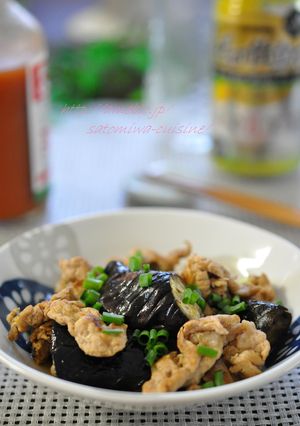 糖質オフ☆茄子と豚肉のピリ辛煮！-レシピのメイン写真
