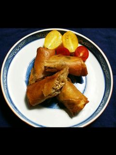 元気モリモリ春巻き☆-レシピのメイン写真