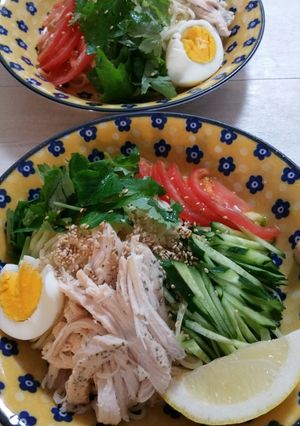 今日も朝から暑いから♦サッパリ冷やし中華-レシピのメイン写真