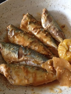 【釣食】サバの梅味噌煮-レシピのメイン写真