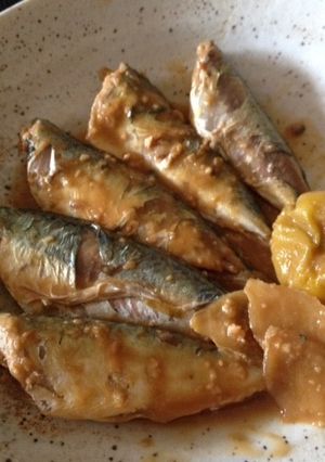 【釣食】サバの梅味噌煮-レシピのメイン写真