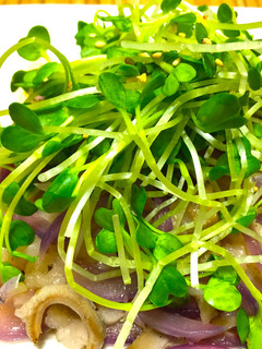 牛もつと紫玉ねぎの塩にんにく炒め-レシピのメイン写真