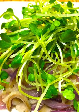 牛もつと紫玉ねぎの塩にんにく炒め-レシピのメイン写真