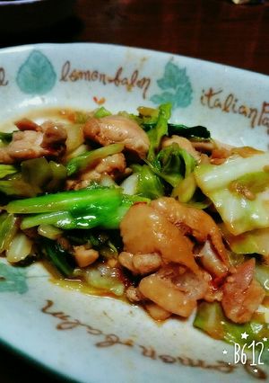 鶏肉とキャベツの野菜炒め-レシピのメイン写真