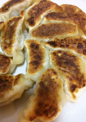にらキャベツひき肉餃子-レシピのメイン写真