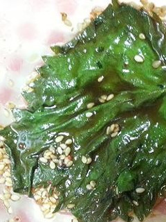 ご飯によく合う大葉のピリ辛漬け☆-レシピのメイン写真