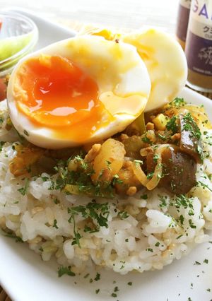 カラダに優しい辛ドライカレー✿酢生姜仕立-レシピのメイン写真