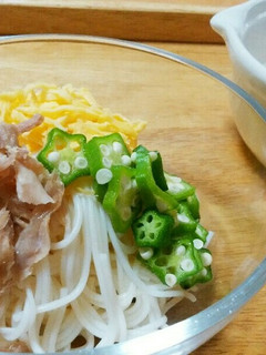 犬ご飯 鶏スープのそうめん-レシピのメイン写真