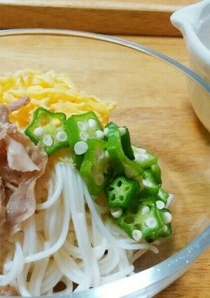 犬ご飯　鶏スープのそうめん-レシピのメイン写真