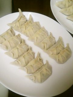 野菜たっぷり餃子-レシピのメイン写真