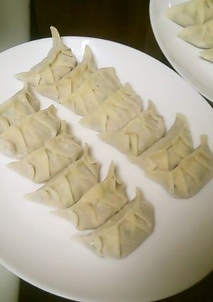 野菜たっぷり餃子-レシピのメイン写真