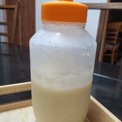 A picture of 玉葱麹.