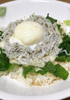 夏バテに！さっぱり簡単しらす丼☆-レシピのメイン写真