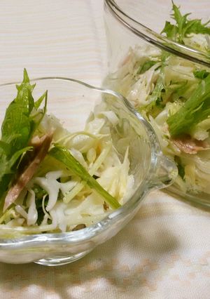 キャベツと水菜のサラダ-レシピのメイン写真