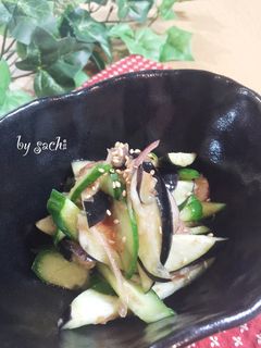 ささっと!なすときゅうりのめんつゆ和え-レシピのメイン写真