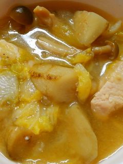 白菜とゴボウと鶏むね肉の味噌煮~中華煮~-レシピのメイン写真