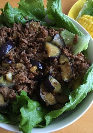 ナスと鶏そぼろ丼-レシピのメイン写真