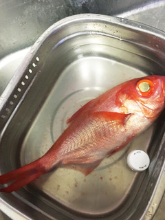 超簡単!魚の鱗取り!飛び散らないの♪-レシピのメイン写真